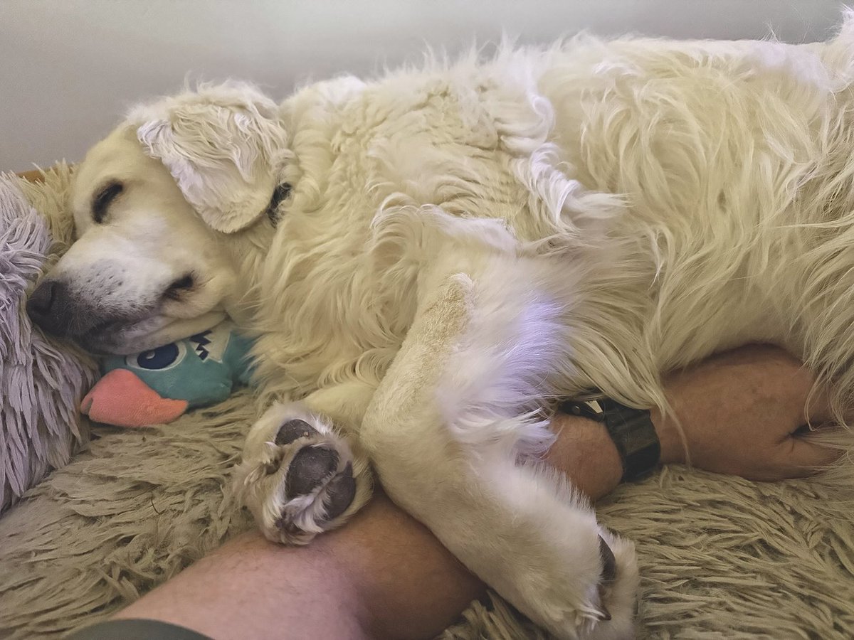 Relaxing with her daddy…