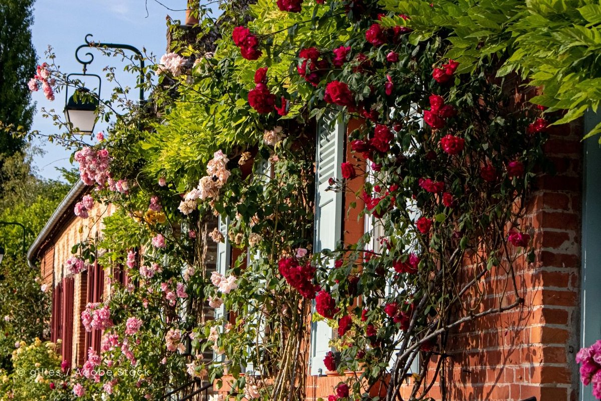 🌹“バラの村”ジェルブロワへようこそ！🌹 フランス北部の小さな村