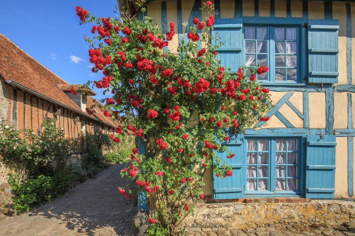 🌹“バラの村”ジェルブロワへようこそ！🌹 フランス北部の小さな村