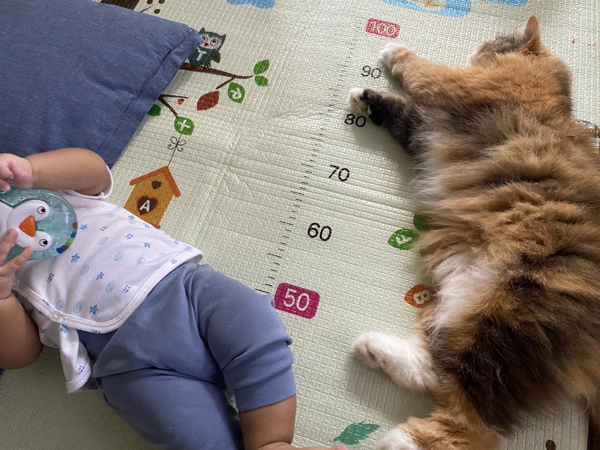 Adik ok kan? Kakak nak rehat jap