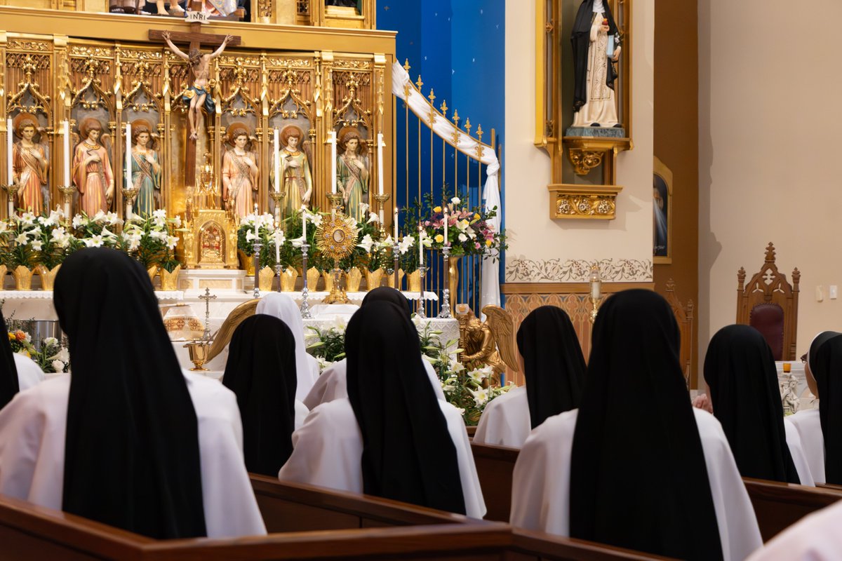 It's about to be Retreat Sunday: praying for our schools as they conclude the academic year, and praying for you!

#catholic #catholicchurch #catholiclife #catholicism #vocations #religious #religiouslife #religioussisters #DSMME #DominicanSistersofMaryMotheroftheEucharist