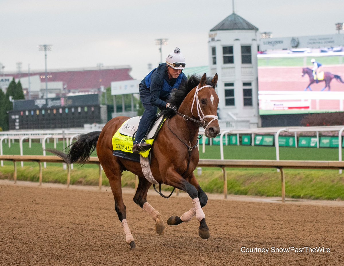 Oh how I love this horse 😍