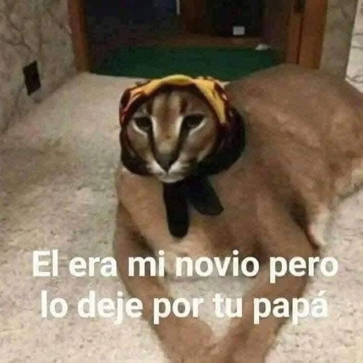 taenkbronado's tweet photo. *Mi hijo encuentra fotos de @elmarianaa en mi celular*
Automáticamente yo: https://t.co/nQj1f2VOtB