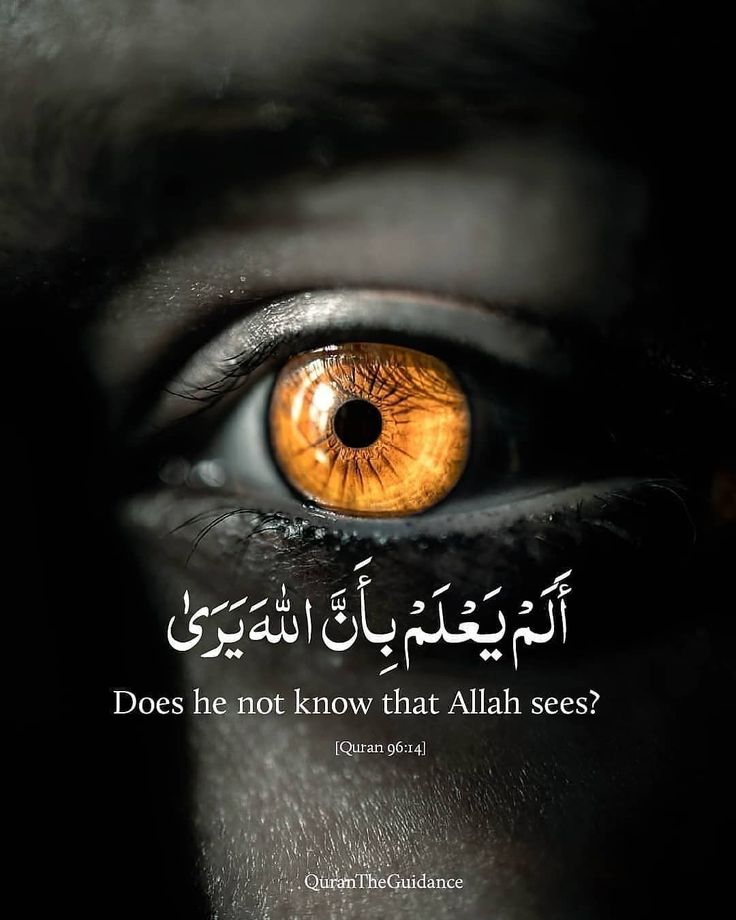 reposts, it will help you🤍🕊️