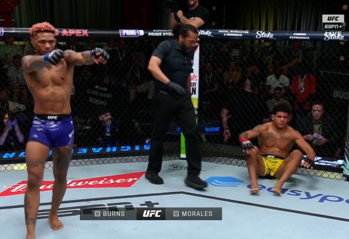 ShitpBSC_'s tweet photo. - No se mete en política.
- No anda de sobrado en redes sociales.
- Trabaja siempre con humildad.
- Está invicto en UFC (18-0).
- Es Barcelonista confeso.
- Siempre deja la bandera en alto.

HONOR A MICHAEL MORALES. 🇪🇨 https://t.co/28n5Skr3WR