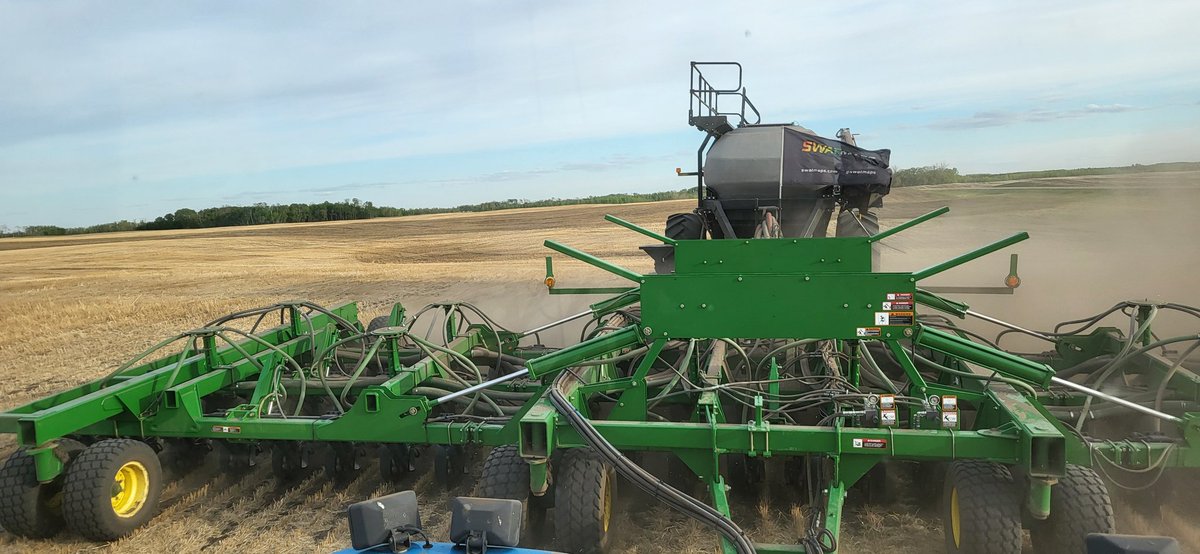 Sheldon Dowling tweet media