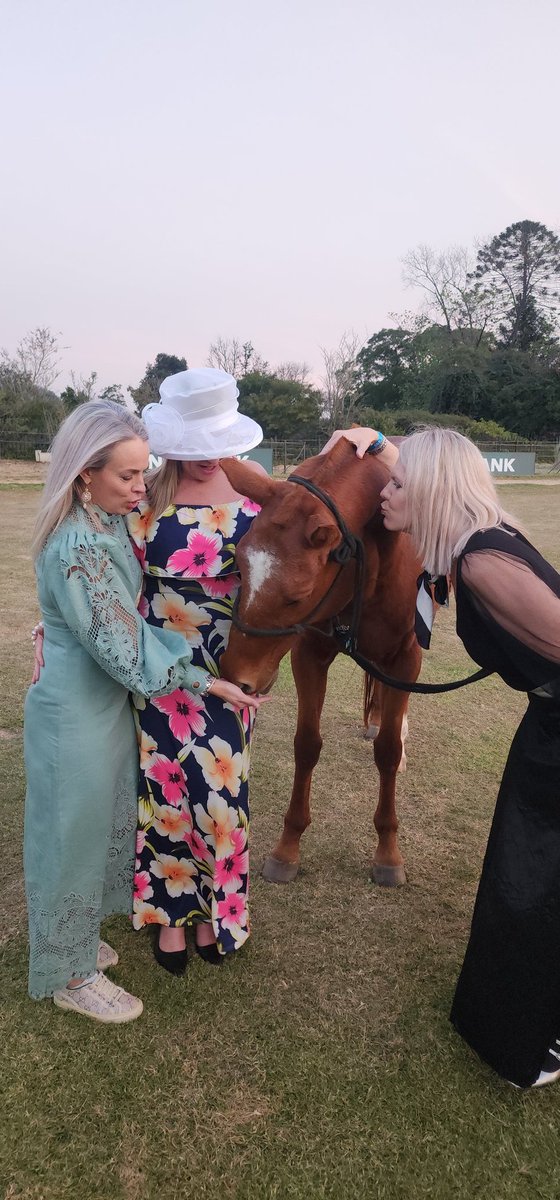 Teresa Coetzee tweet media