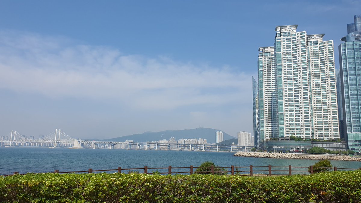 Shy수여니 tweet media