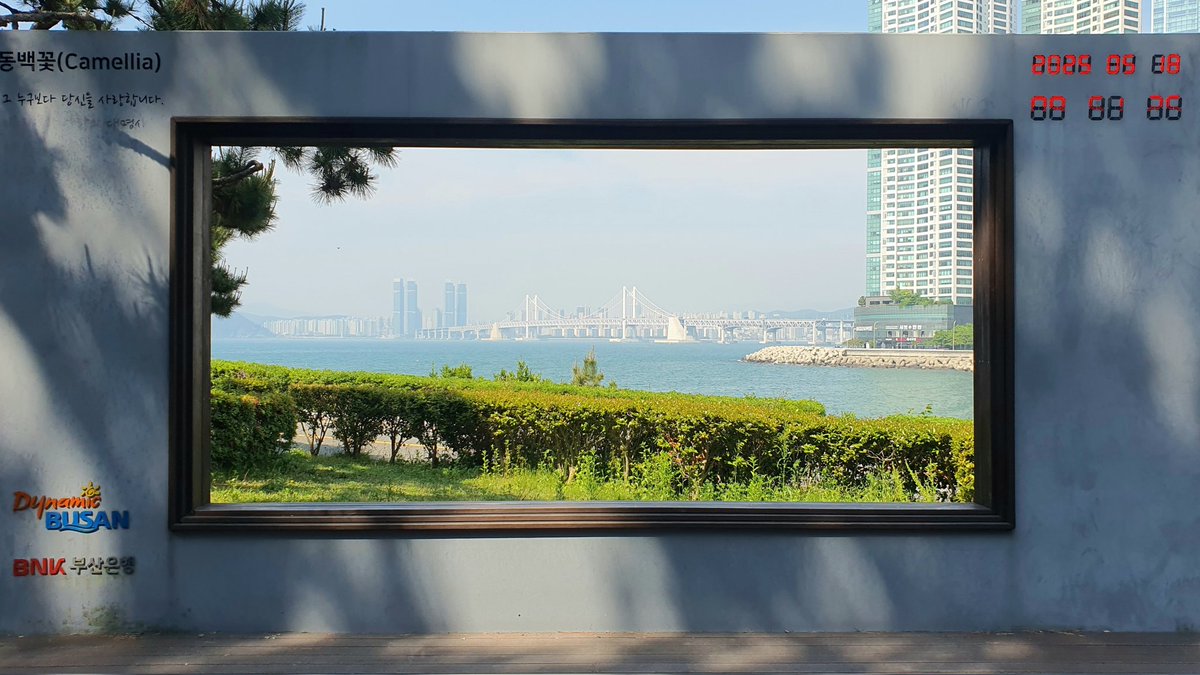 Shy수여니 tweet media