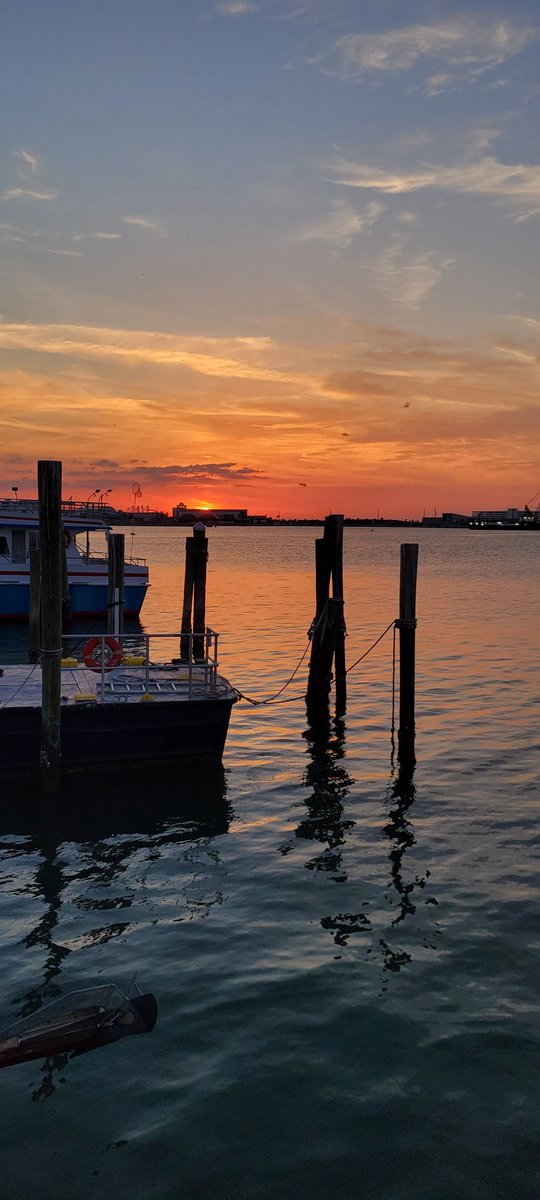 RustysInThePort's tweet photo. Tonight's sunset pics courtesy of Madison... at Rusty's at the Port!! 😎👍🌅🚢🌴🍹#sunsethour #sunsets #nightshift #portlife #decklife #rustysseafood #portcanaveral https://t.co/fCSQchu2fY