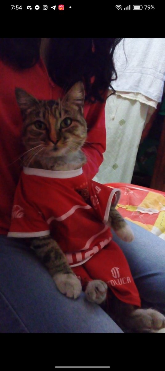 DoradaItzel's tweet photo. #NuestraLiguilla
Vamooos diablooos😈⚽
Queremos la tan ansiada 11⭐ https://t.co/YnF29cX042