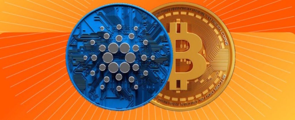 If you’re holding decentralized $BTC and $ADA

I can honestly say , you’re going to make it

Retweet if you agree!