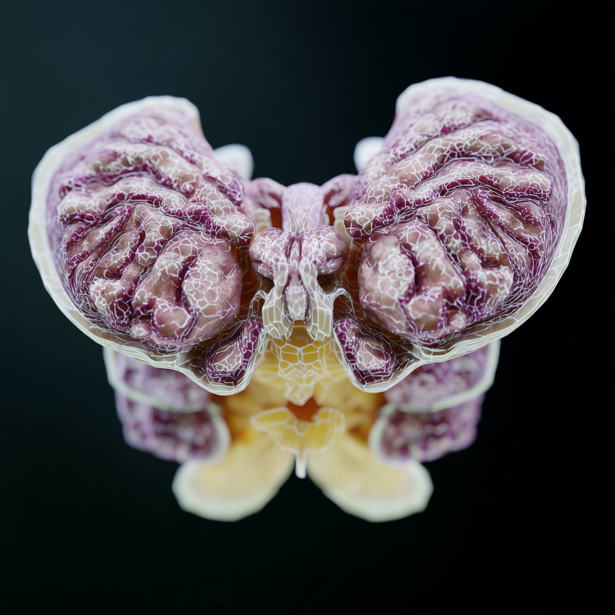 dbug_lc's tweet photo. polygonal brains #flower #orchid #blender #ai #photography #aiCollection #reference #art https://t.co/VxEVl7ESBj