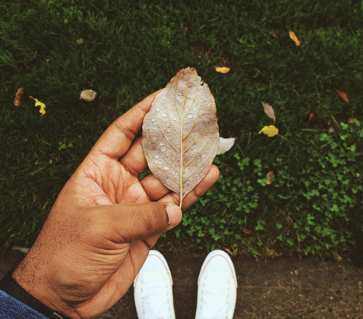 TheTwinPowers's tweet image. An active #awareness is one not solely engaged in the process of reacting to situations.
.
#ThinkBIGSundayWithMarsha
#mindfulness #perception #wisdom
#Motivation #growth #selfawareness