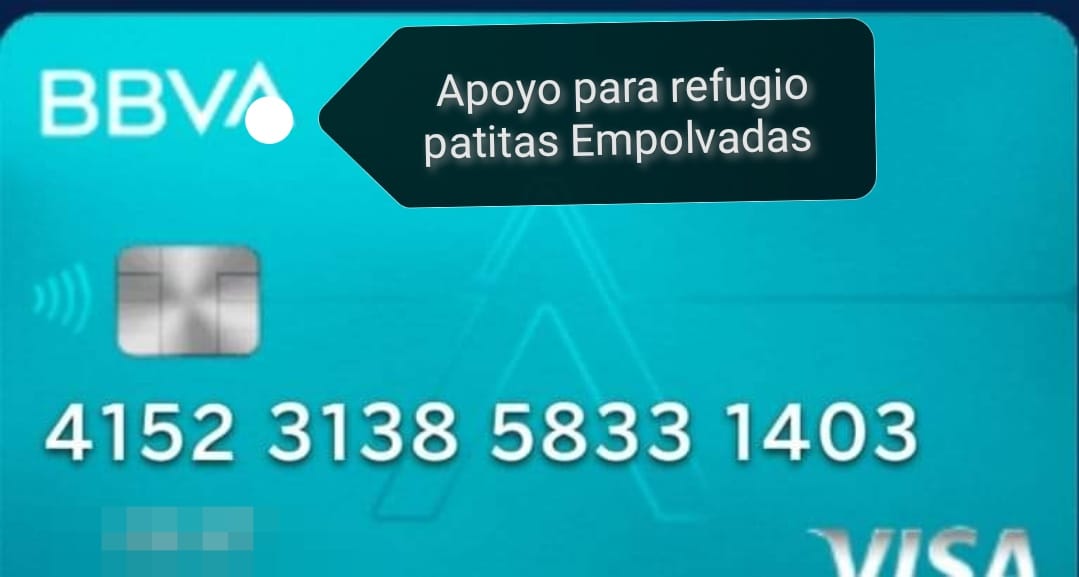 Buenas noches seguidores hermosos, seguimos pidiendo su ayuda 🥹❤️🙏
Aún debemos $990 de las croquetas y necesitamos croquetas para mañana o el lunes, también usamos dinero para comprar jabón, cloro, fabuloso y bolsas negras.
Espero puedan echarnos una patita 🥹 por favor.
