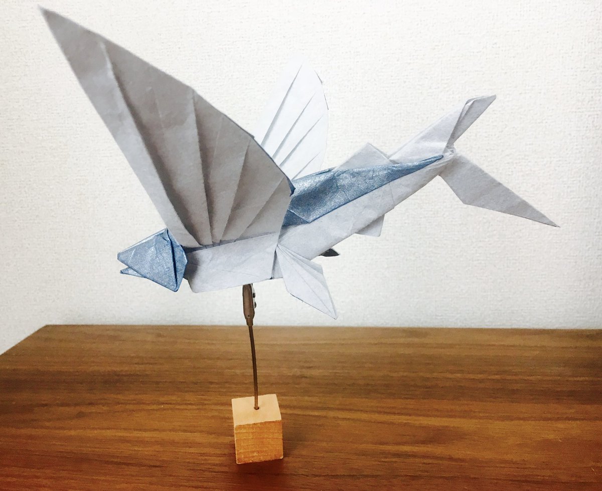 海への憧れ…！
 #海族のお宝2025