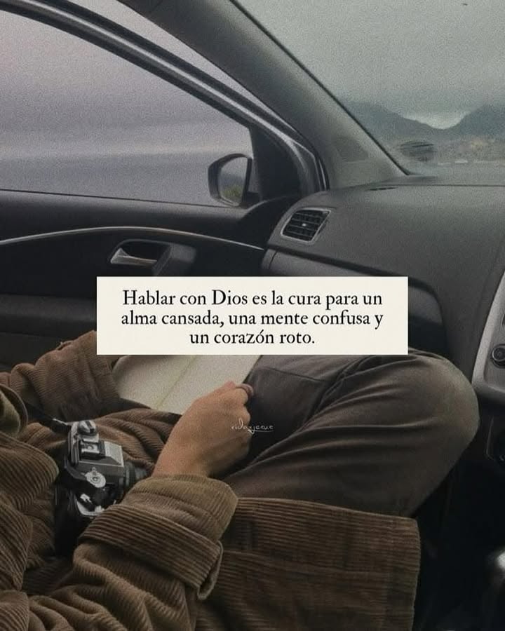 el Siervo (@elsiervo__) on Twitter photo 