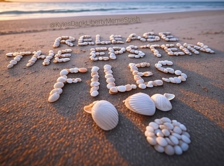 SamOldFart's tweet image. 