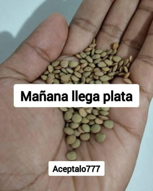 Bandidosfrases's tweet image. Así como trates está imagen te irá en 2025