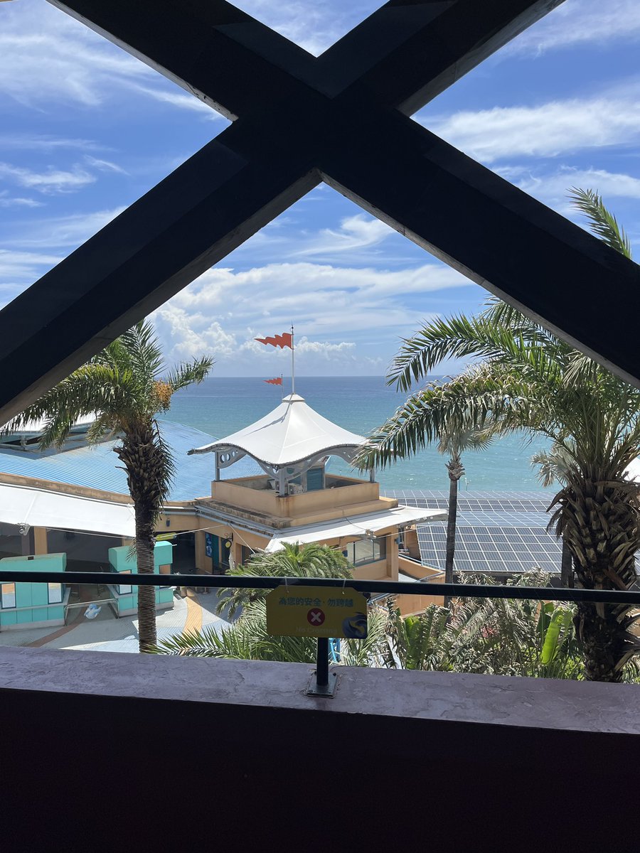 達菲兔的異想世界 tweet media