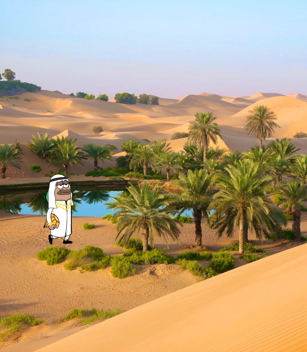 Only diamond hands can turn a desert into an oasis and dreams into paradise! #mubarak 🙌💎 !