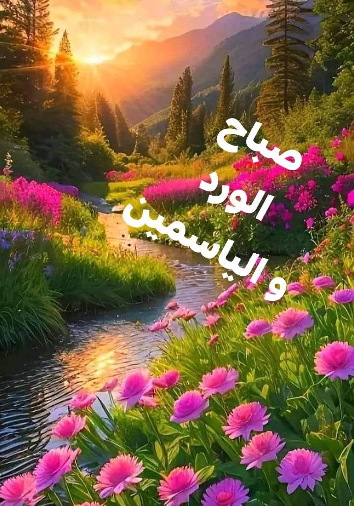 <a href="/sPbOmhRJk8ETtVr/">زهره النسيم</a> امين يارب العالمين 🤲
