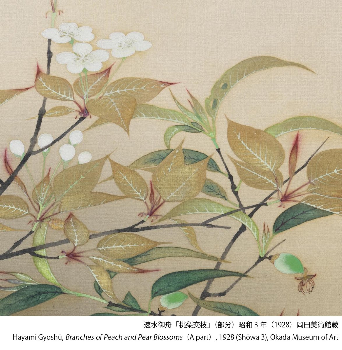 特別展「#御舟と一村、珠玉の日本画」より】 花が咲き、葉が金色に輝く