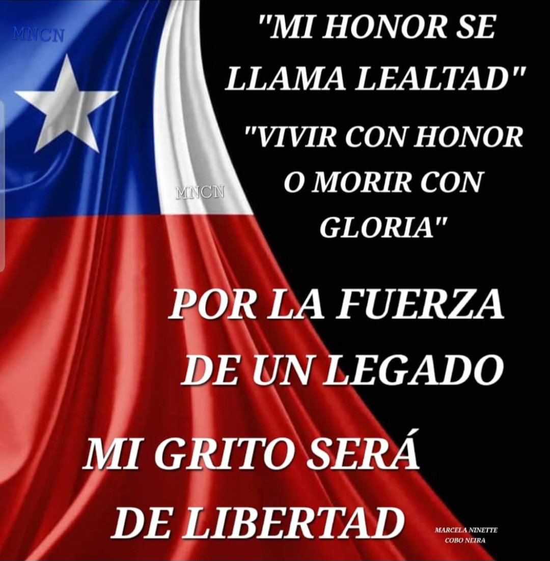 HMC1973_CHILE's tweet photo. @vanessakaiser22 En pocas palabras : " Mi honor se Llama Lealtad. "
Chile Libre y Soberano,  el que la realidad no entiende la ciudadanía. 🗽👍⭐️🇨🇱⭐️👍🗽 https://t.co/Hy0rzGw74C