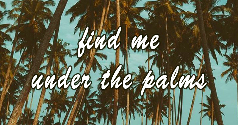 tropicalitytrvl's tweet image. Look for me 🌴🌴🌴
tropicality.com 
#beach #beachtime #beachlife