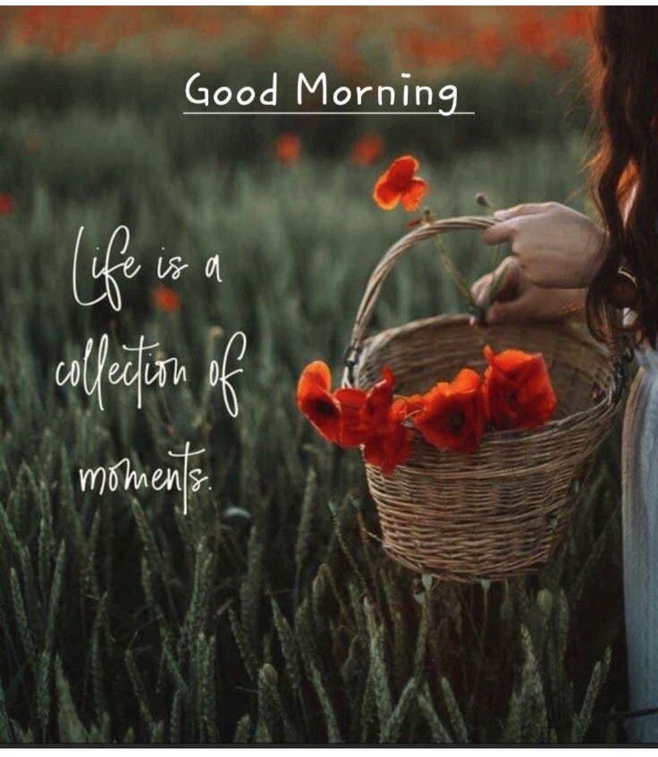 Good morning! May this morning offer you new hope for life.🔙
