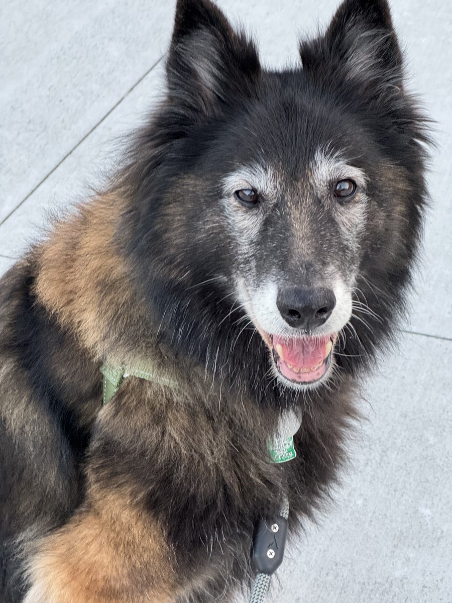 마야 in SJ (@maya_terv) on Twitter photo 