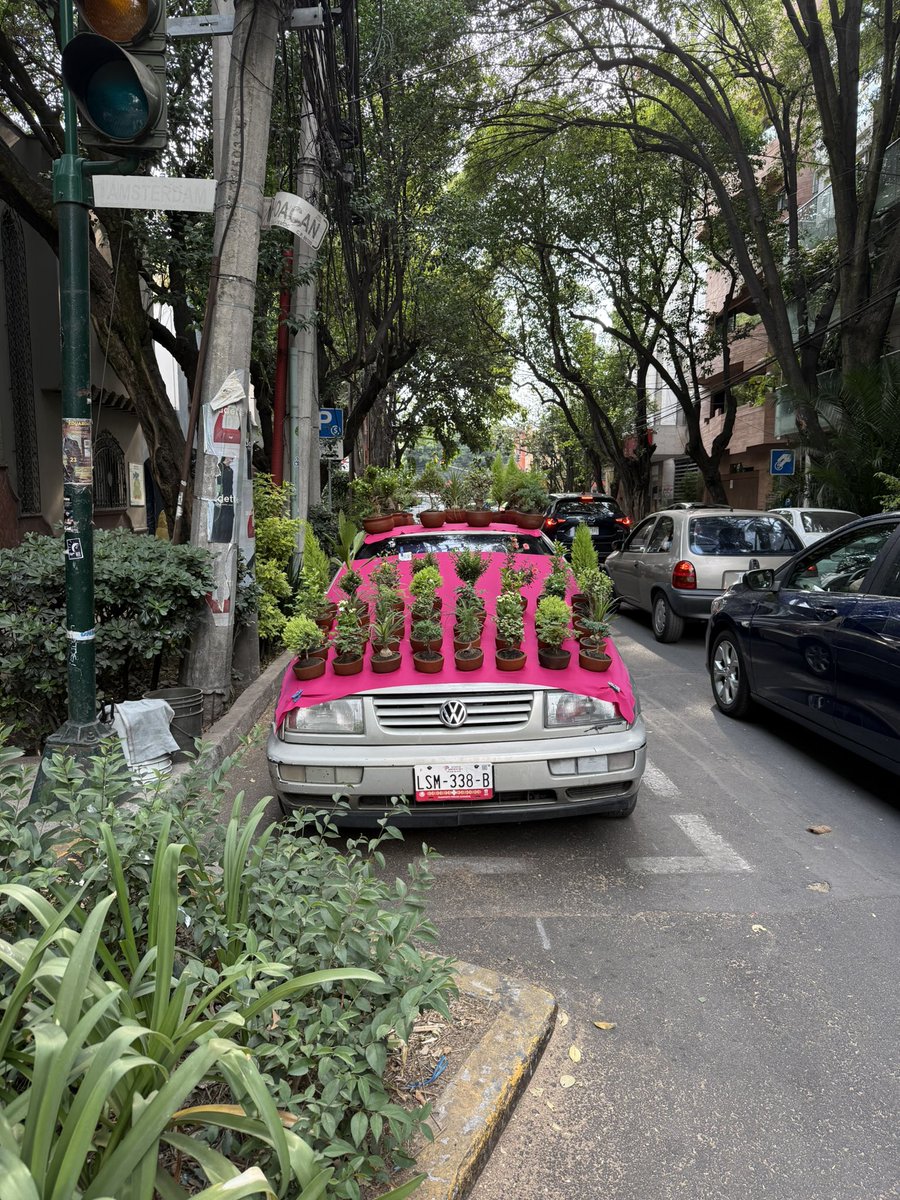 Just Condesa being Condesa.