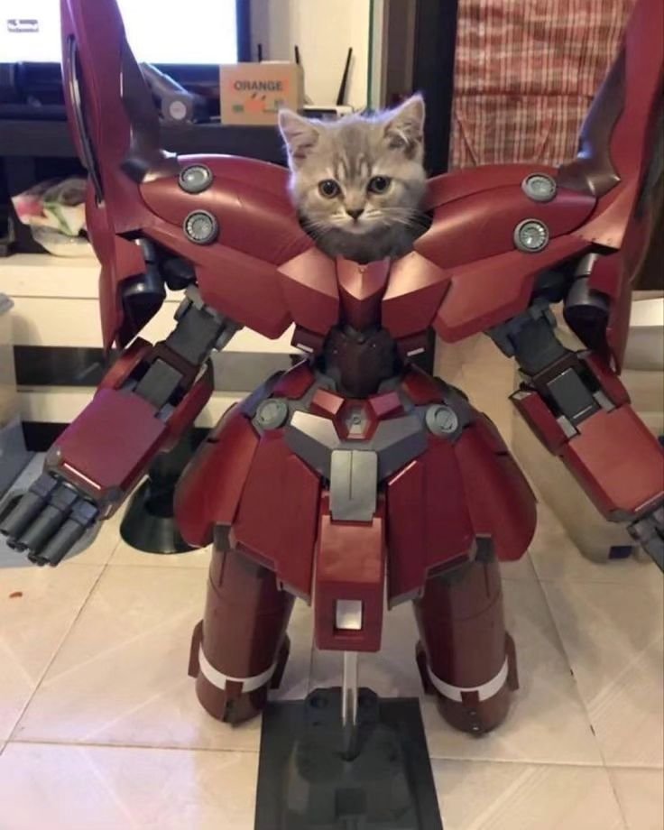 Punch Cat (@punchingcat) on Twitter photo 