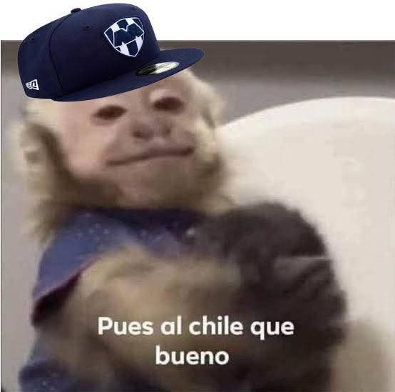 SomosRayados's tweet photo. https://t.co/Tg0olBe1dX