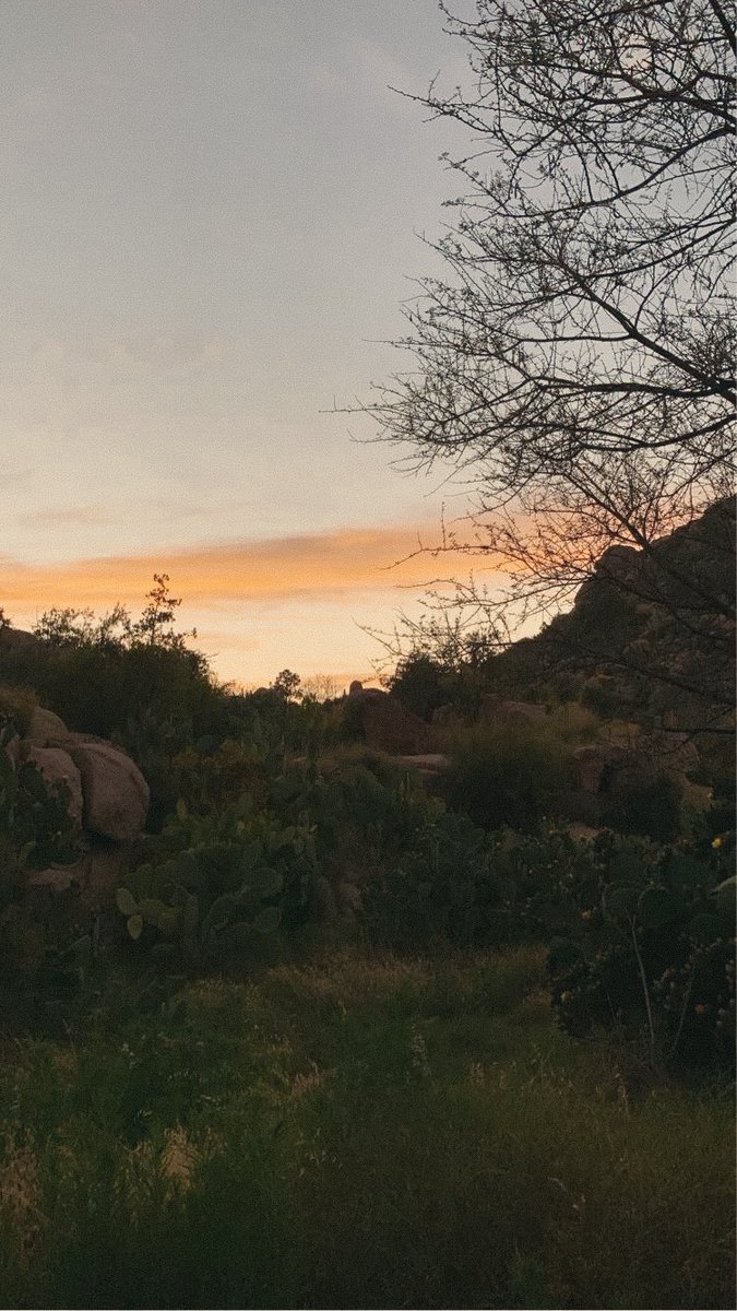 ابوحسين ✨ tweet media