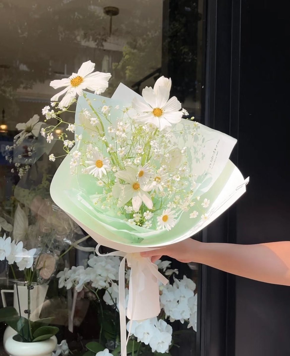 绿风里的点点星屑
🌸
亚步流星
格桑
玛格丽特
郁金香