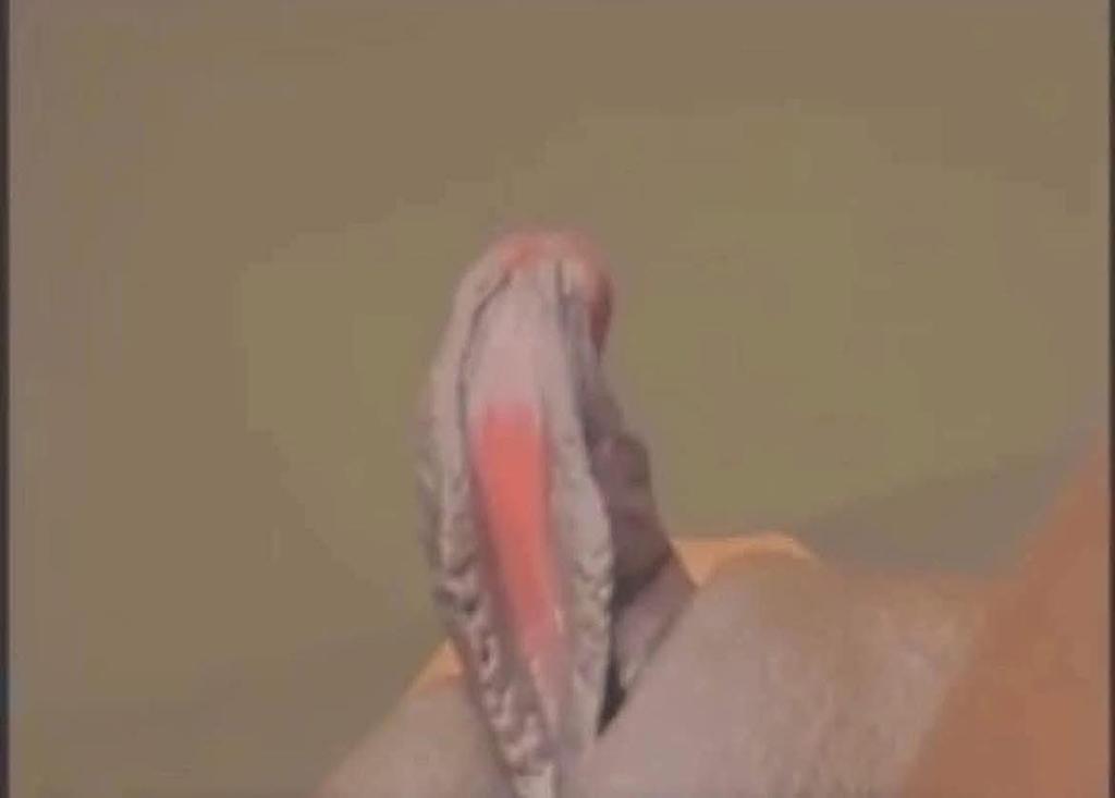 Que será???