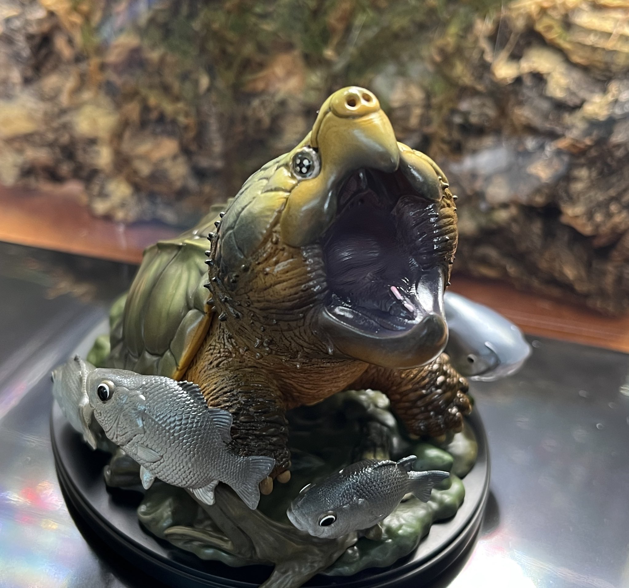 Amazon.co.jp: 動物の惑星 アニマルプラネット 爬虫類リアル