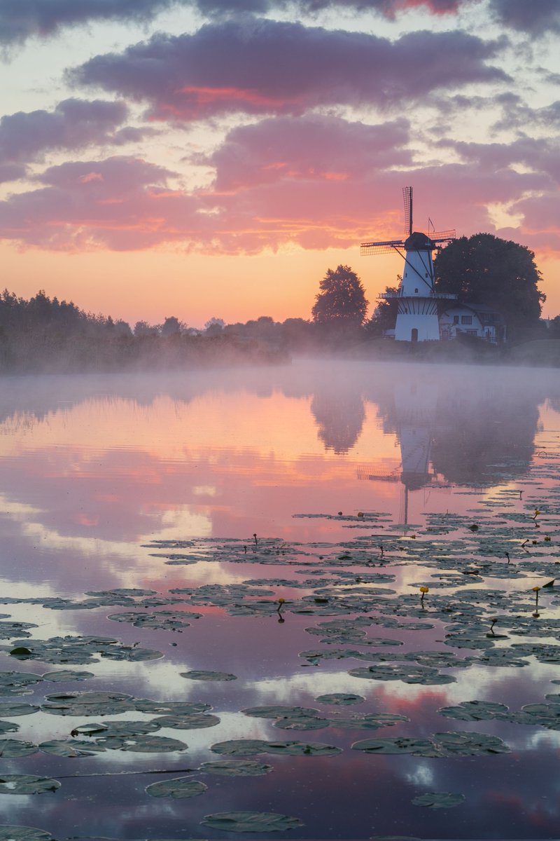 De Betuwe gisterochtend in alle vroegte (05.45 uur). De laaghangende cumuli werden prachtig beschenen in het eerste licht, met een subtiel laagje mist boven het kabbelende water van de Linge #fotografie #voorjaar