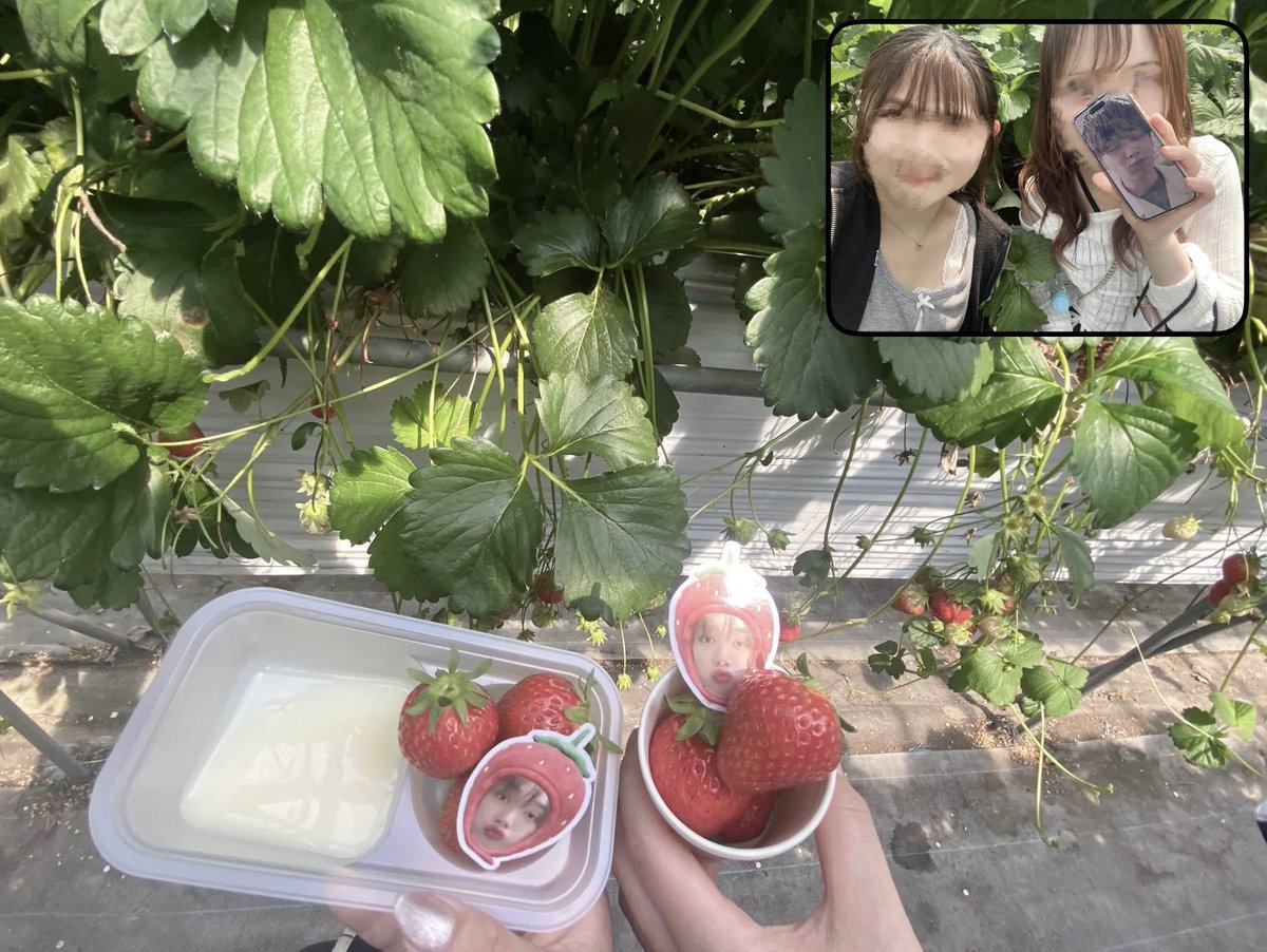 おいも🐰 tweet media