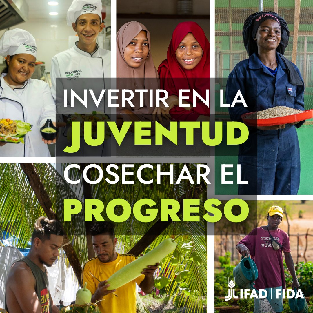 IFADespanol's tweet image. 💡 🌱 La innovación comienza con la próxima generación de pequeños agricultores.
Invertir en la juventud rural significa apoyar soluciones innovadoras para la seguridad alimentaria mundial.
¡Cosechemos los beneficios de sus ideas frescas!
#InvierteenlosJovenesRurales