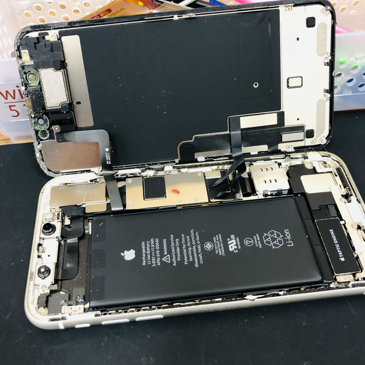 本日はiPhone11 バッテリー交換でした！ 
充電持ちが悪くなったiPhone、生き返ります！！

 バッテリー交換、画面割れetc... 当店にお持ちください！   
修理受付 11:00-19:30  バッテリー無料診断実施中！
#玉光堂 #iPhone修理 #スマホファクトリー #Quick
