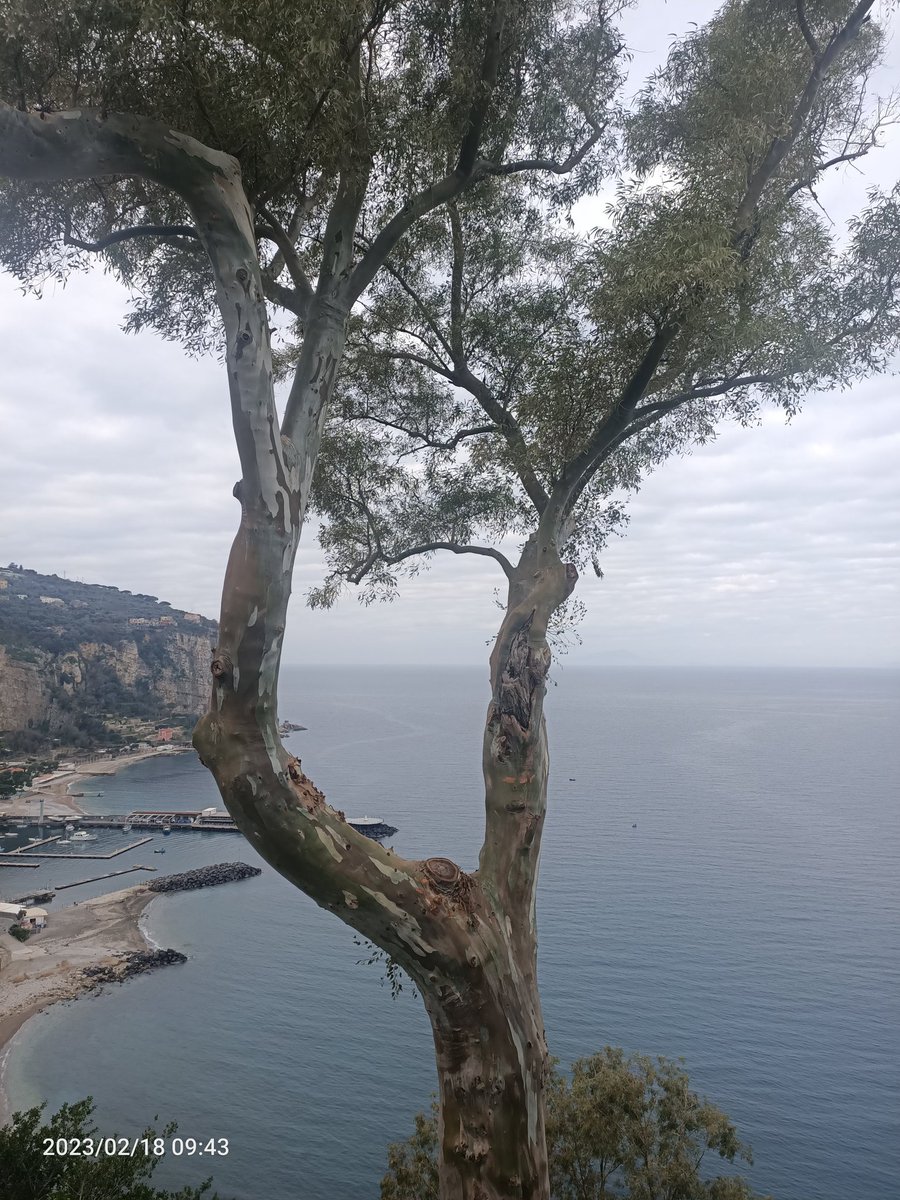 c.e.⚓📷 (@espcar50) on Twitter photo 