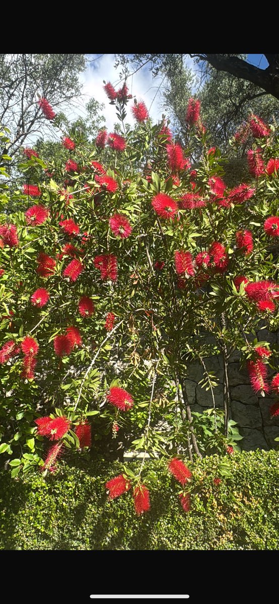 Liam Gallagher (@liamgallagher) on Twitter photo 