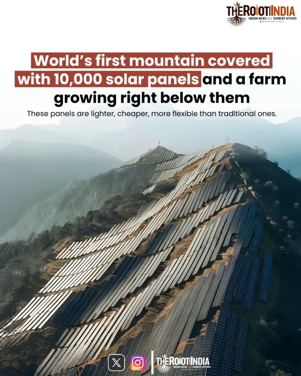 therootindia's tweet photo. Lishui, Zhejiang is lighting the way with solar innovation!
At the heart of its green energy movement is a mountain-top solar farm that combines cutting-edge perovskite panels with agrivoltaics—generating clean energy while allowing crops to grow beneath the panels.#ChinaSolar https://t.co/CvbPQhFBfa