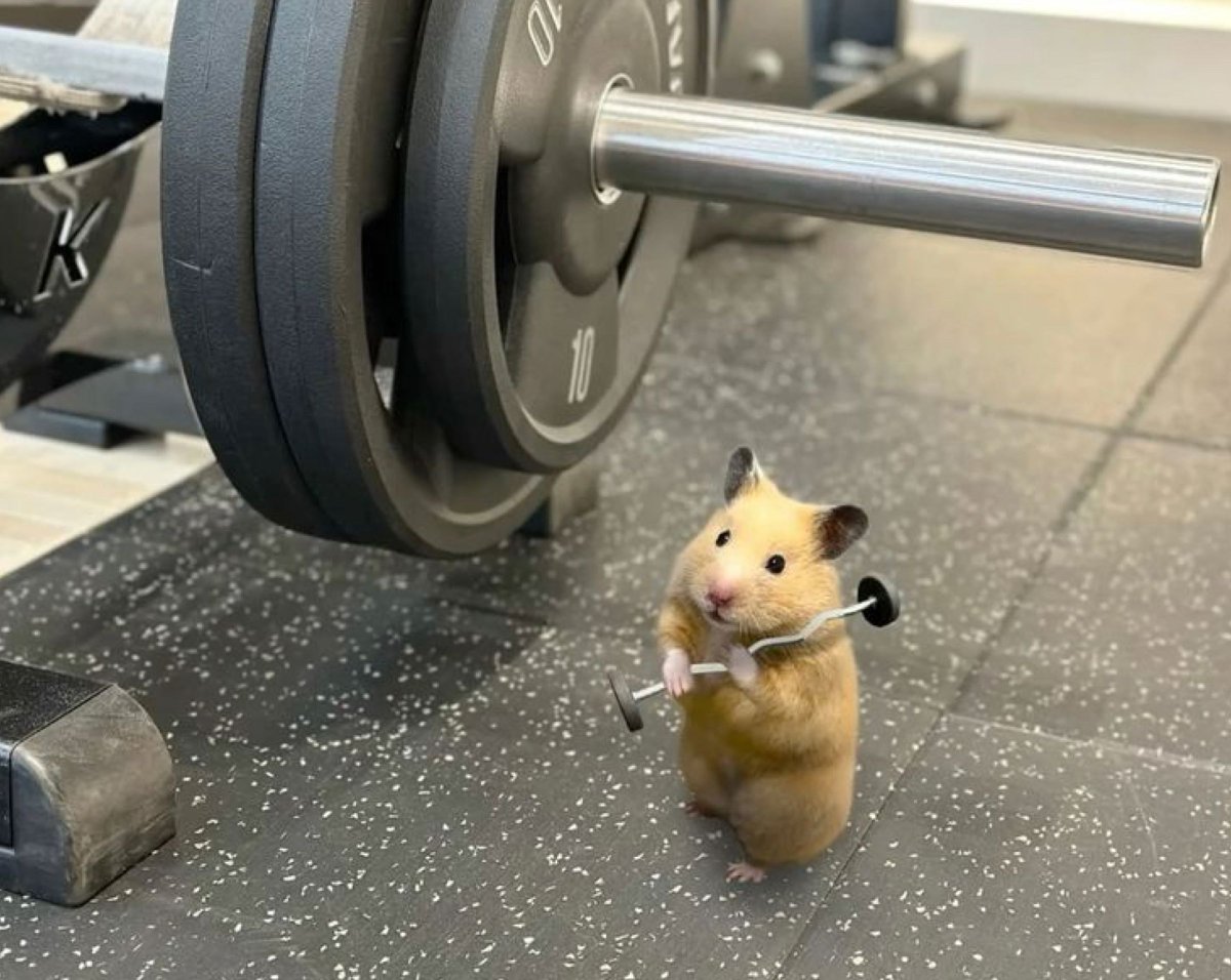 9GAG ❤️ Memeland tweet media