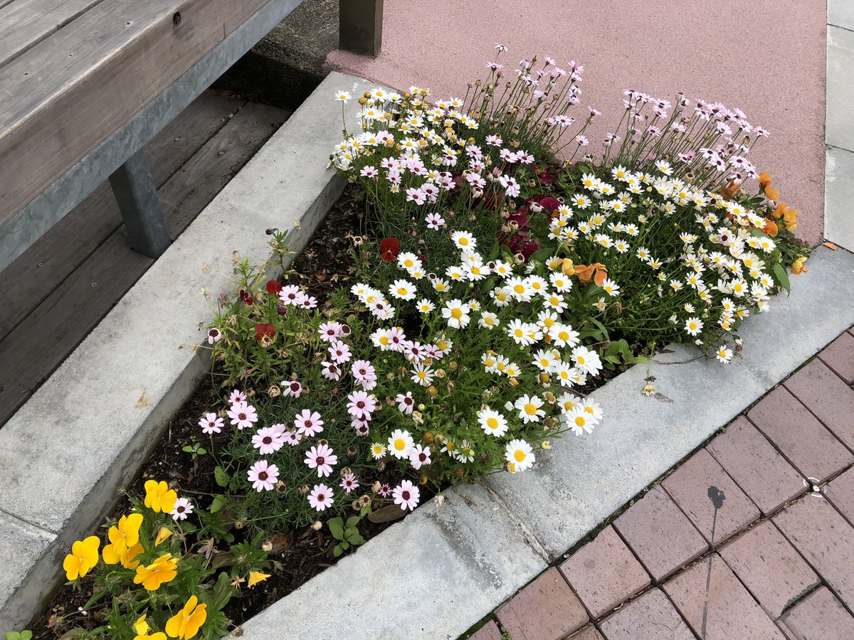 NK6 (@______nk6______) on Twitter photo 