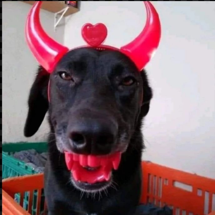 arielsillv4's tweet photo. o duda nagle sorrindo assim dps de levar 50 socos na cara https://t.co/75tIFK2HXe