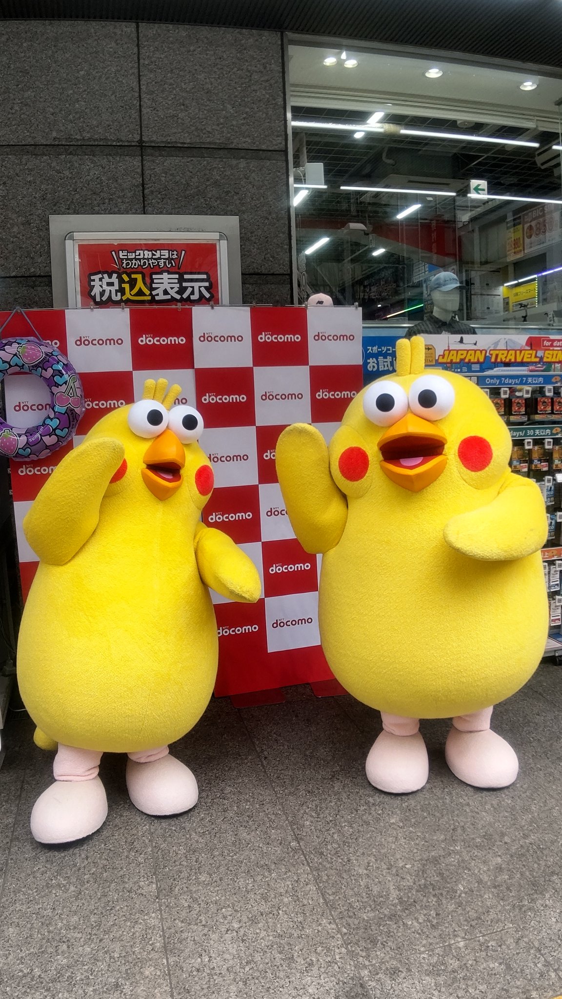 ポインコと山歩き予定🐥🐾 (@paopaopanda_jp) / X