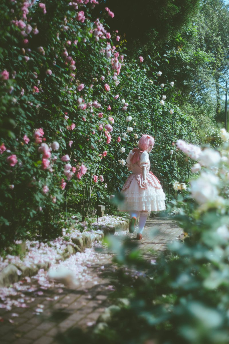 【cosplay】

NyaNya x 魔法少女まどか☆マギカ コラボ衣装

📷<a href="/ebifly110/">えびふらい</a>